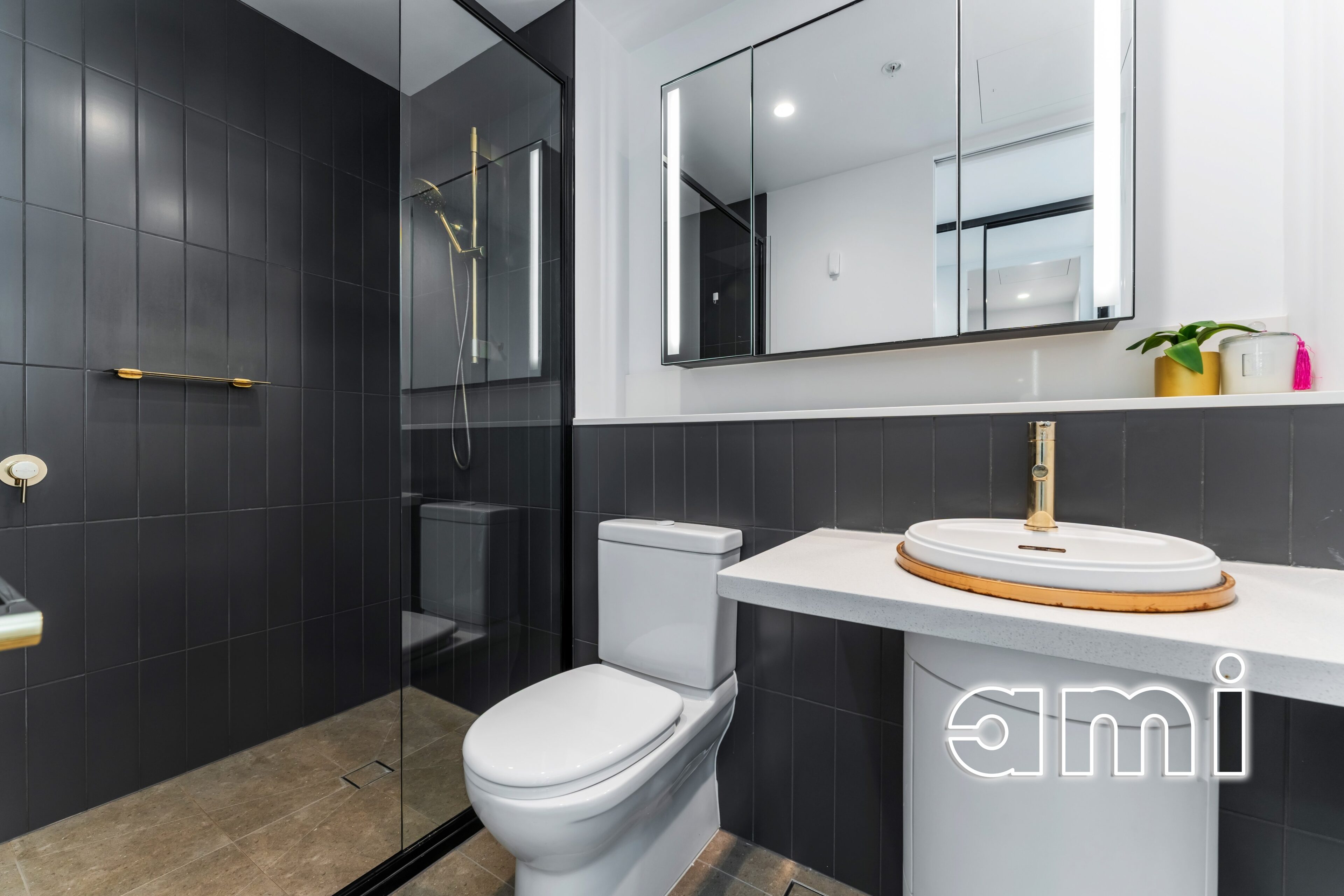 Gallery Thumbnail 12