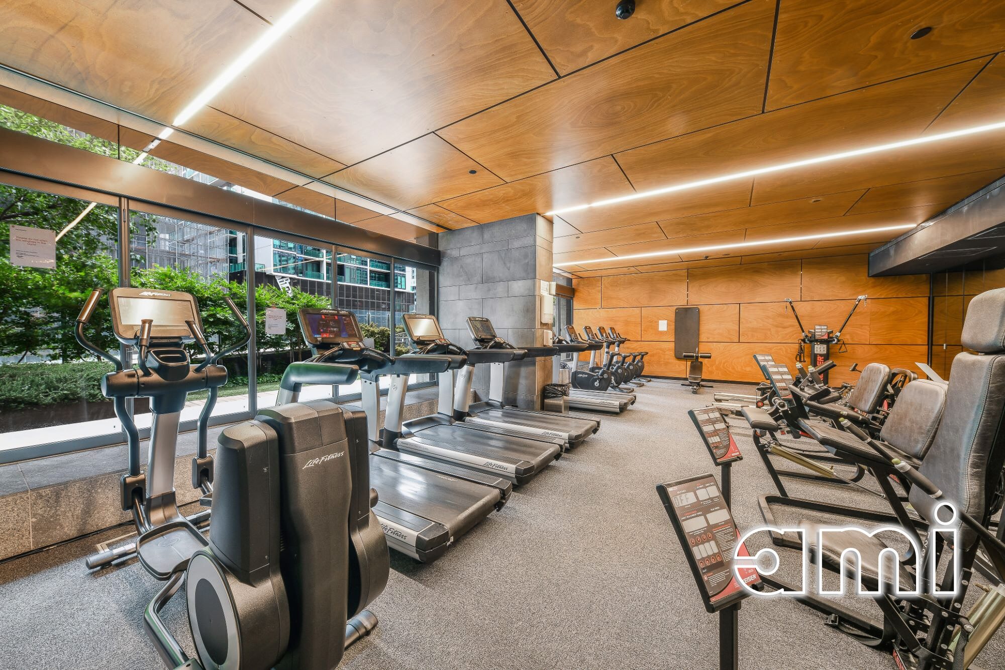 Gallery Thumbnail 12