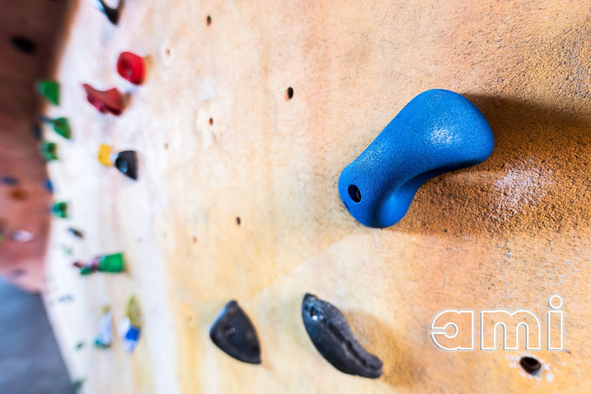 Gallery Thumbnail 16