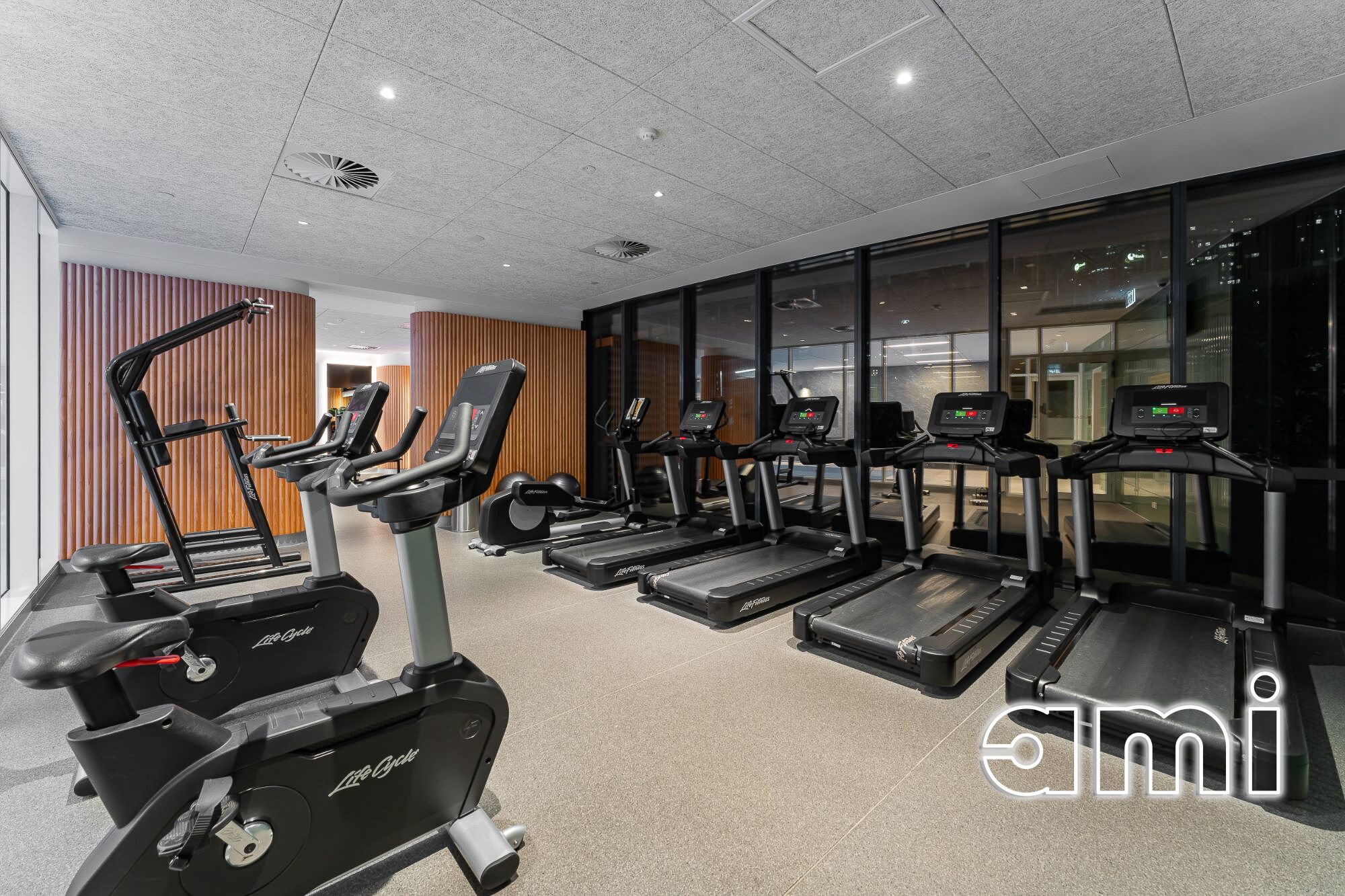 Gallery Thumbnail 24