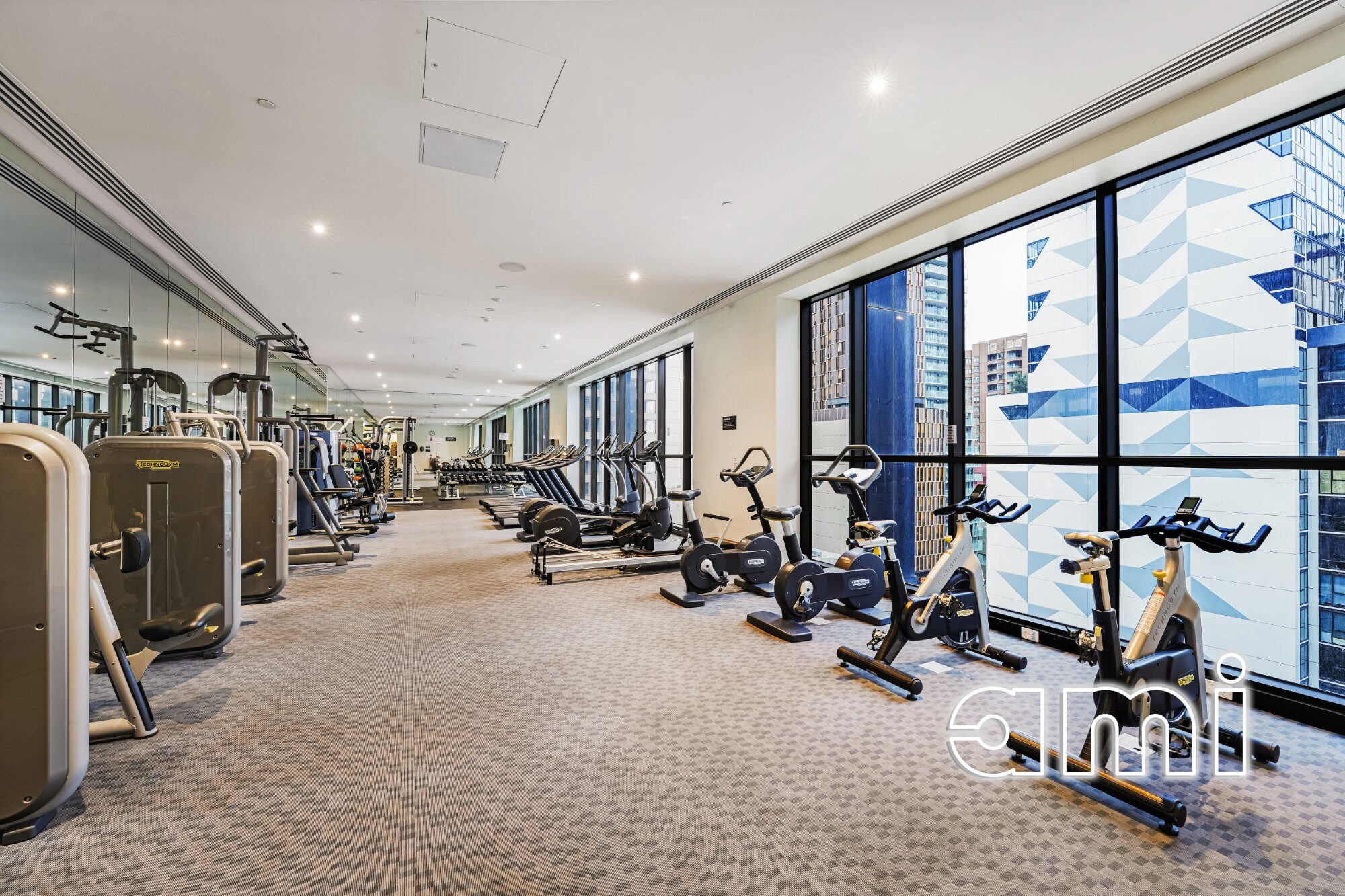 Gallery Thumbnail 17