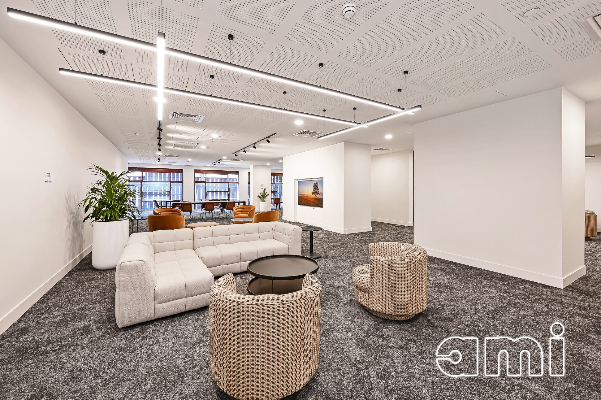 Gallery Thumbnail 15